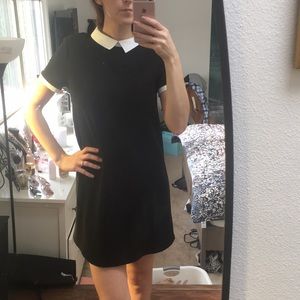 zara peter pan collar dress